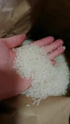 H30年産あきたこまち25キロ 白米玄米選べます