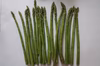 春芽アスパラガス　訳あり1kg