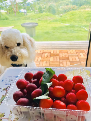 みんなの投稿の画像