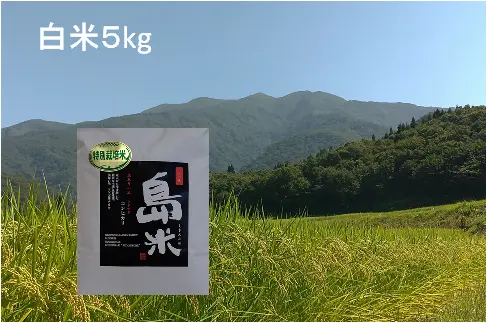 新米R5年産 特別栽培米 幻のコシヒカリ最上流の上級米5k白米 