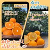 ☆春の柑橘祭り☆樹熟清見オレンジ はっさく セット
