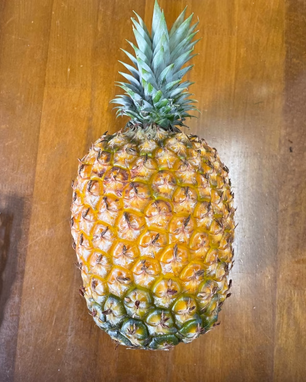 　ゴールドバレルパイン　小さいサイズ 　８０0g～１．２Kサイズ６個入り