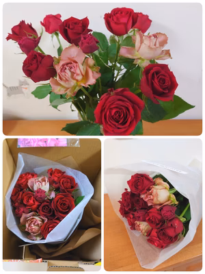 みんなの投稿の画像