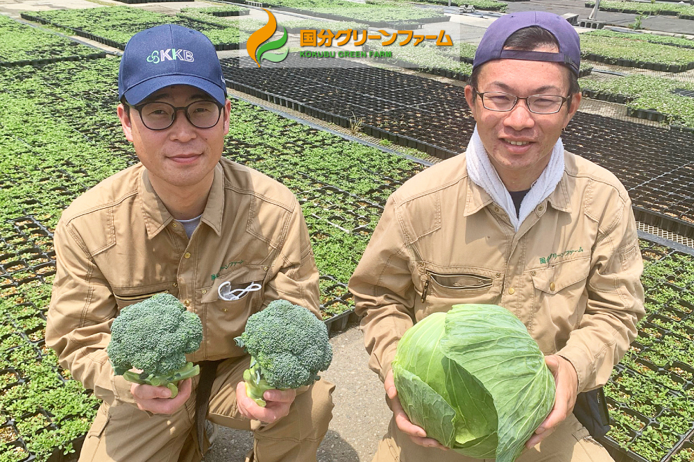 埼玉県熊谷市｜株式会社国分グリーンファーム｜土屋耕亮さんの生産者