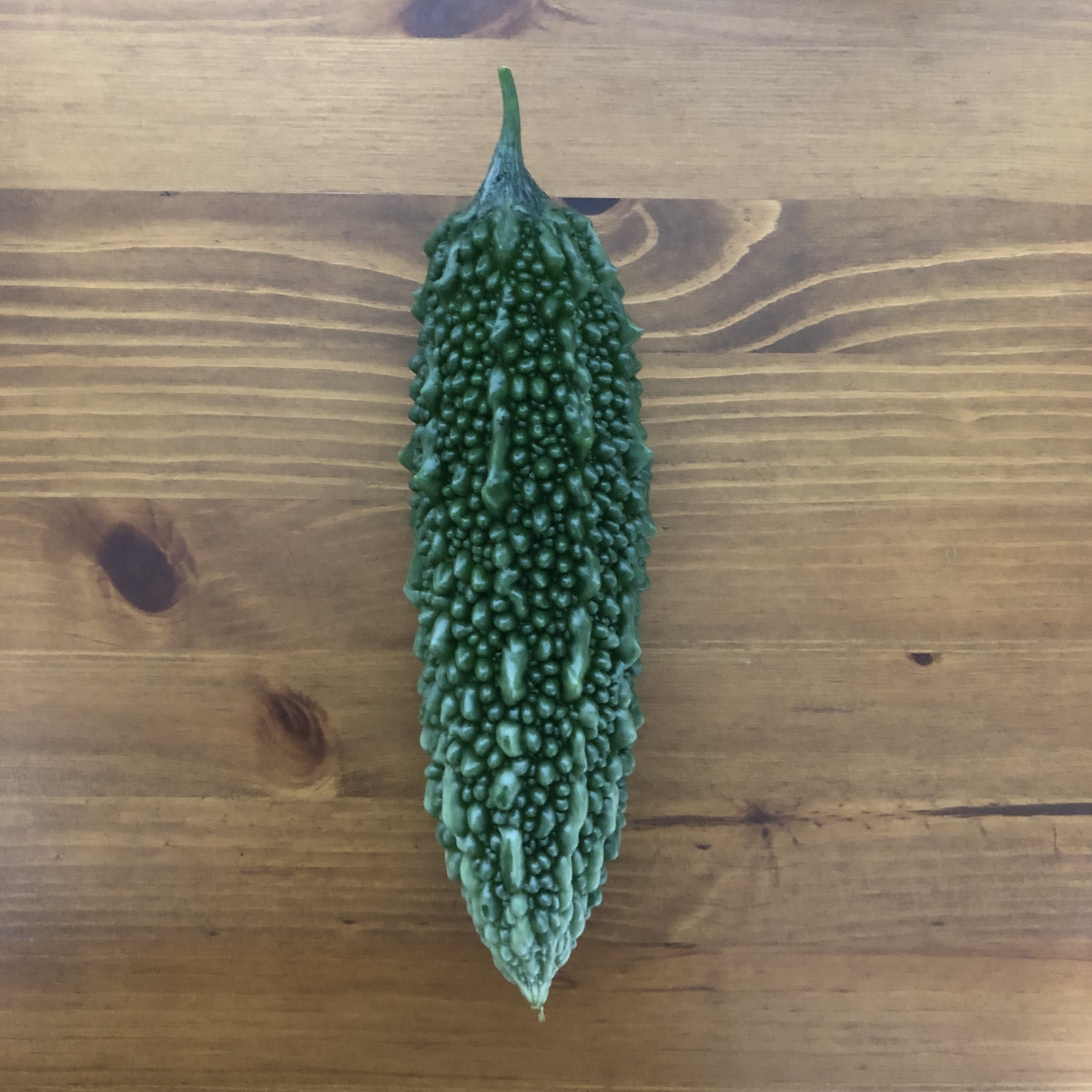 ゴーヤの通販・お取り寄せ商品｜野菜｜ポケットマルシェ｜産地直送で旬