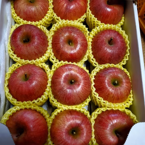 蜜チェック済み樹上完熟サンふじ中小玉