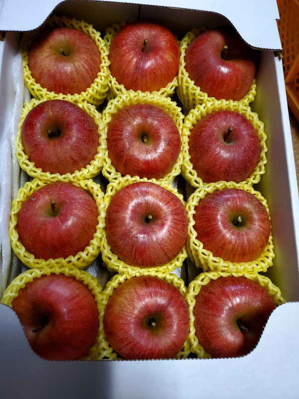 蜜チェック済み樹上完熟サンふじ中小玉