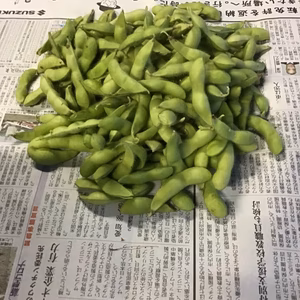 風味の良い枝豆！
