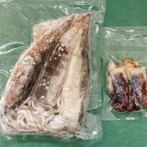 【-60冷凍】スルメイカと肝（ワタ）の塩漬けのセット！