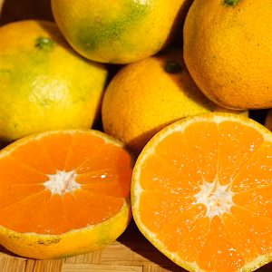 清水果樹園の極早生みかん