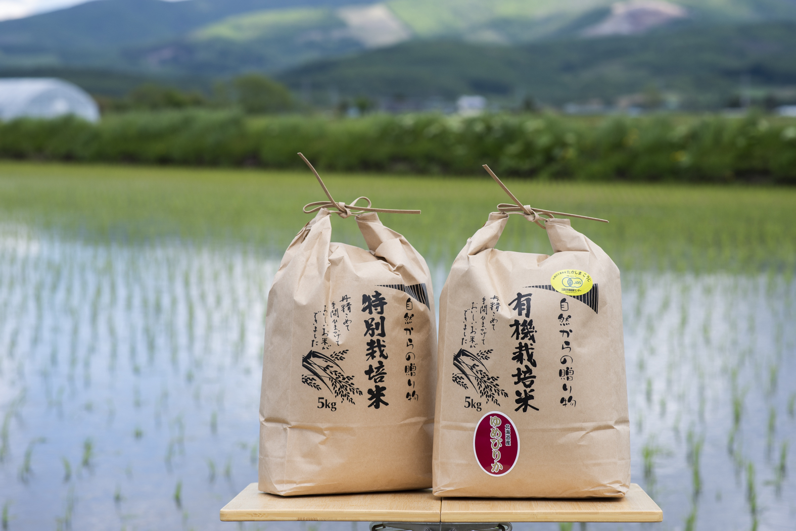 米・穀類の産直通販・お取り寄せ商品｜ポケットマルシェ｜産地
