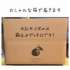 【完熟有田みかん】宮川早生　5キロ2L 家庭用　温州みかん　低農薬　早生みかん