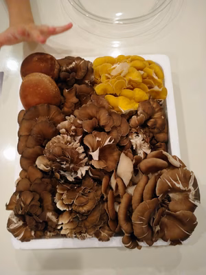 みんなの投稿の画像