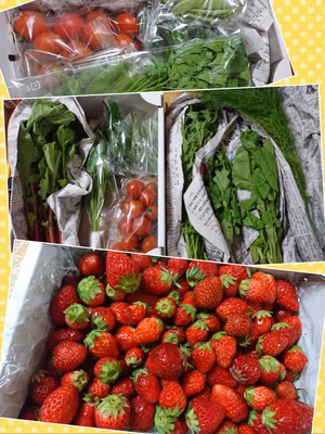 みんなの投稿の画像