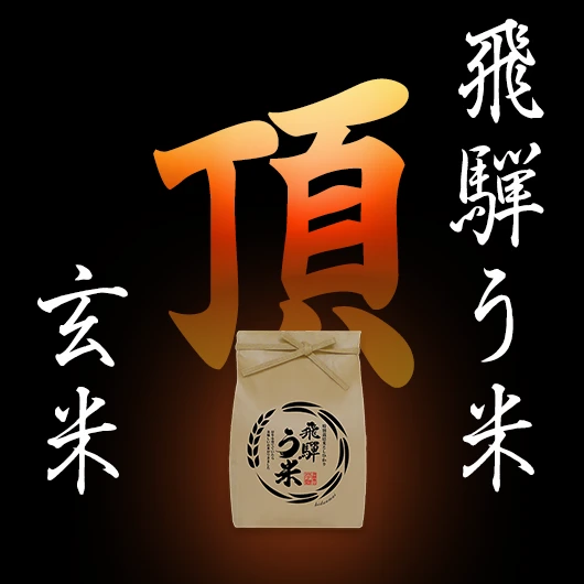 【新米・玄米】特別栽培米コシヒカリ有機肥料100％・連続特別優秀賞！『頂』