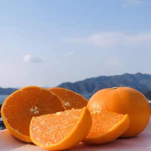 せとか   訳あり