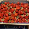 ジャムなど加工用苺　いちごさん(潰れが気にならない方限定)