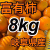 今が旬‼️富有柿8kg詰め合わせ⭐️産地直送
