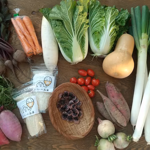 私たちの畑からみんなの食卓へ♪新鮮野菜セット（単品）