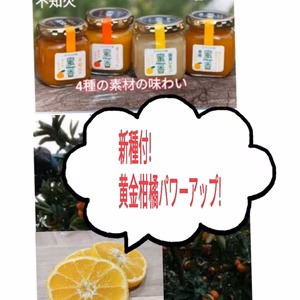 新種】黄金みかん付!【限定30】4種の味わい＆越冬川田みかん