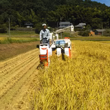西村 不二夫 | 京都丹波　西村farm