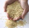 [新米]   御前清水米   5kg  (玄米) 令和4年産