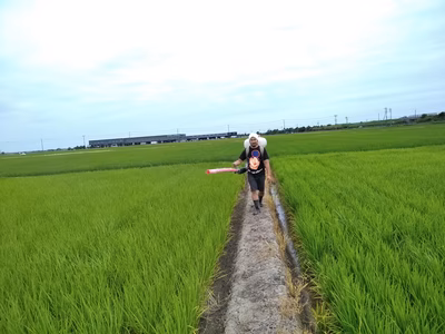 みんなの投稿の画像