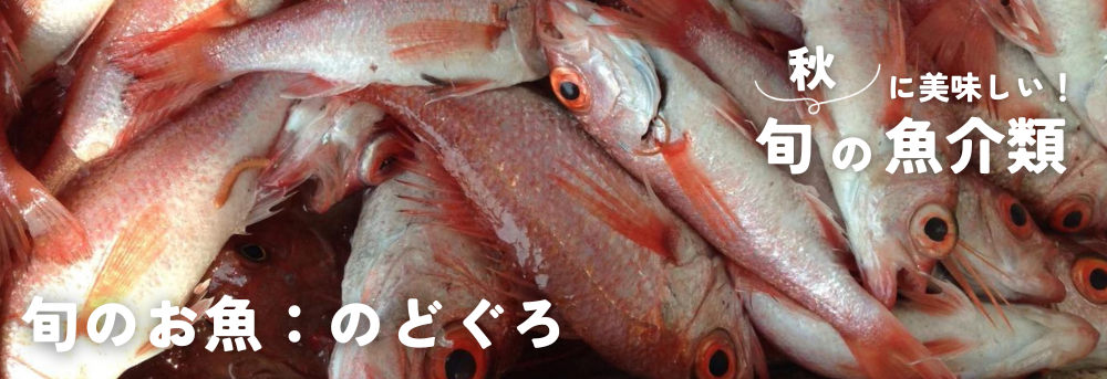 秋の旬 魚介類 のどぐろ
