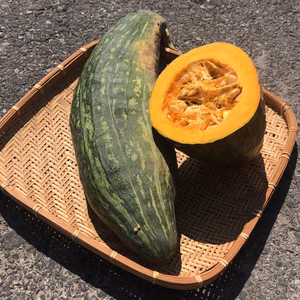 かぼちゃ『ながちゃん』