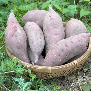 【農薬化学肥料不使用】一カ月熟成ねっとり紅はるか・皮までおいしい