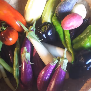 ima様専用 野菜セット 農薬 化学肥料不使用