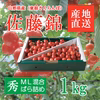 再販『佐藤錦』訳あり M玉L玉混合 1kg