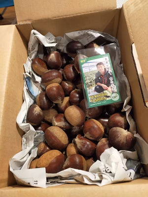 みんなの投稿の画像