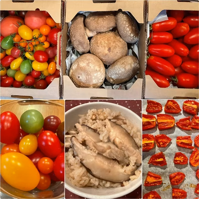 みんなの投稿の画像