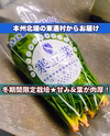 青森県で寒締栽培した　甘味&肉厚ほうれん草『寒立菜（かんだちな）』約1kg