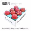 【贈答用】葉とらずふじ 当園の１番人気りんご！ 2kg（8個）