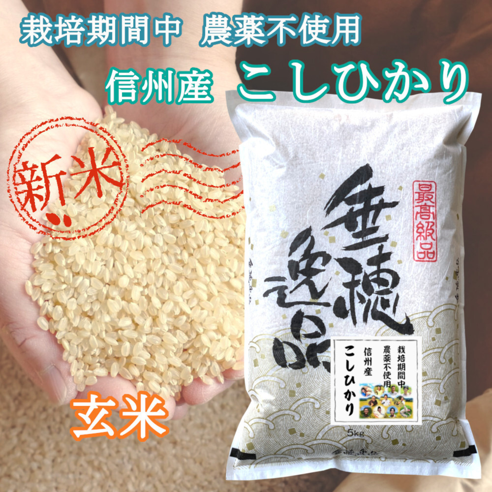 令和5年産｜米・穀類の商品詳細｜ポケットマルシェ｜産直(産地直送)通販　こしひかり　新米】《玄米》信州産　農薬不使用米　旬の果物・野菜・魚介をお取り寄せ