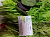 JAS有機高原野菜をレターパックでお届け✨信州諏訪湖の畔から