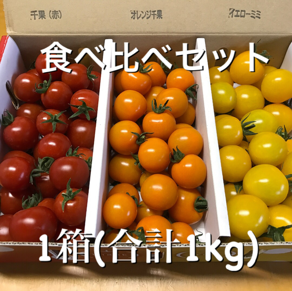 約1ヶ月しか食べる事のできない 平田農園のミニトマト 食べ比べセット 農家漁師から産地直送の通販 ポケットマルシェ