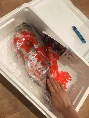 みんなの投稿の画像