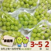 【家庭用】岡山県産シャインマスカット3～5房【2kg】しっかり甘くてジューシー