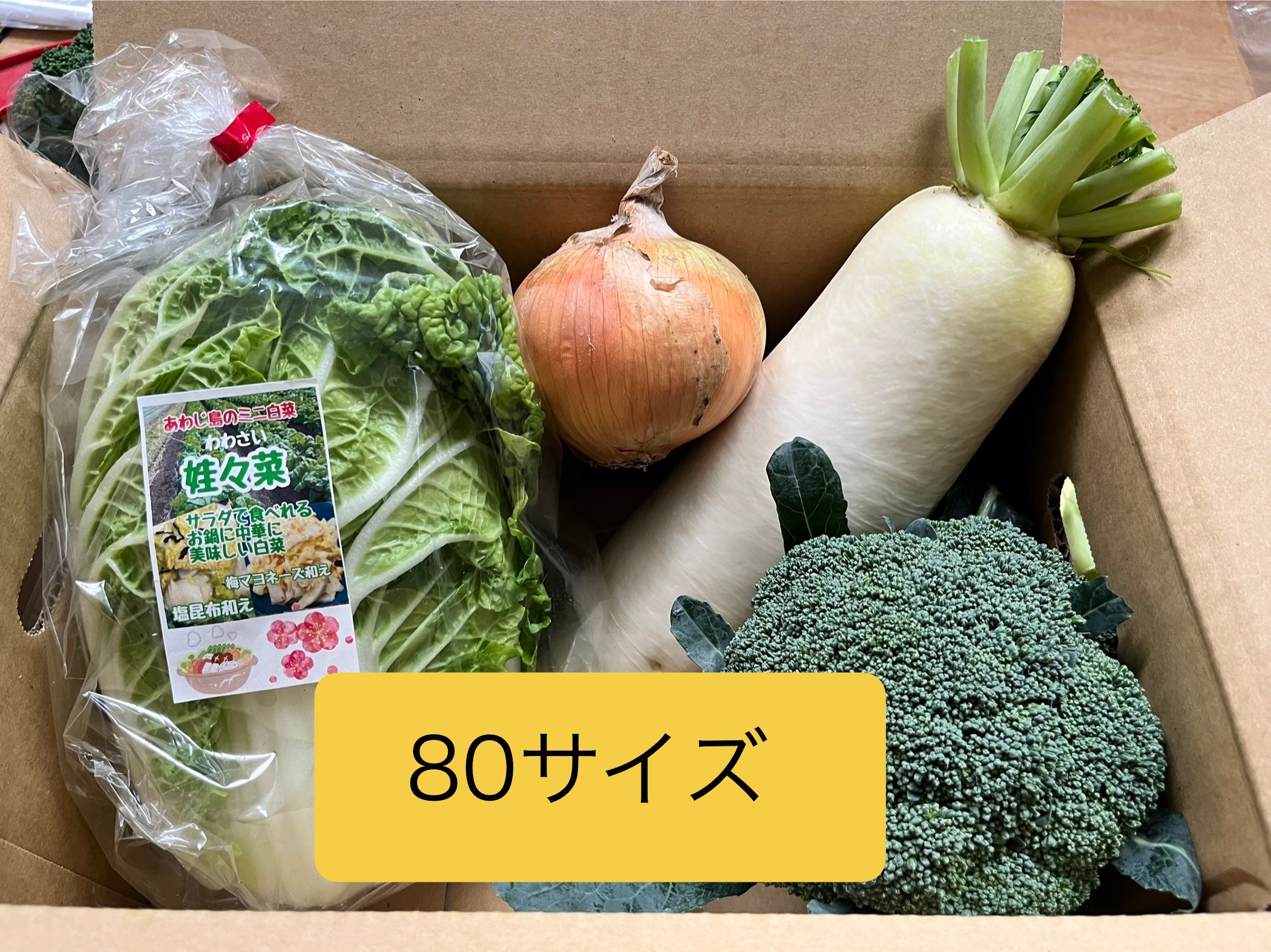 お野菜セット 80サイズミニ白菜ブロッコリー玉ねぎ大根