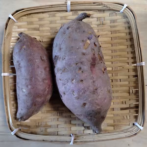 甘い、甘い　サツマイモ
