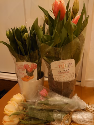 みんなの投稿の画像