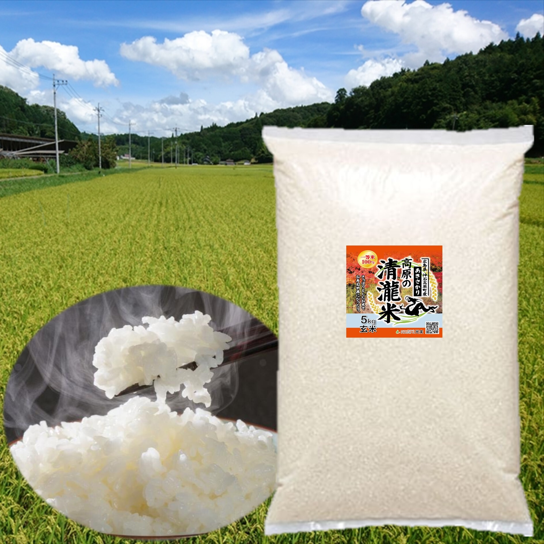 農家直送令和6年産 あきさかり10:キロ a-0256-02.jpg