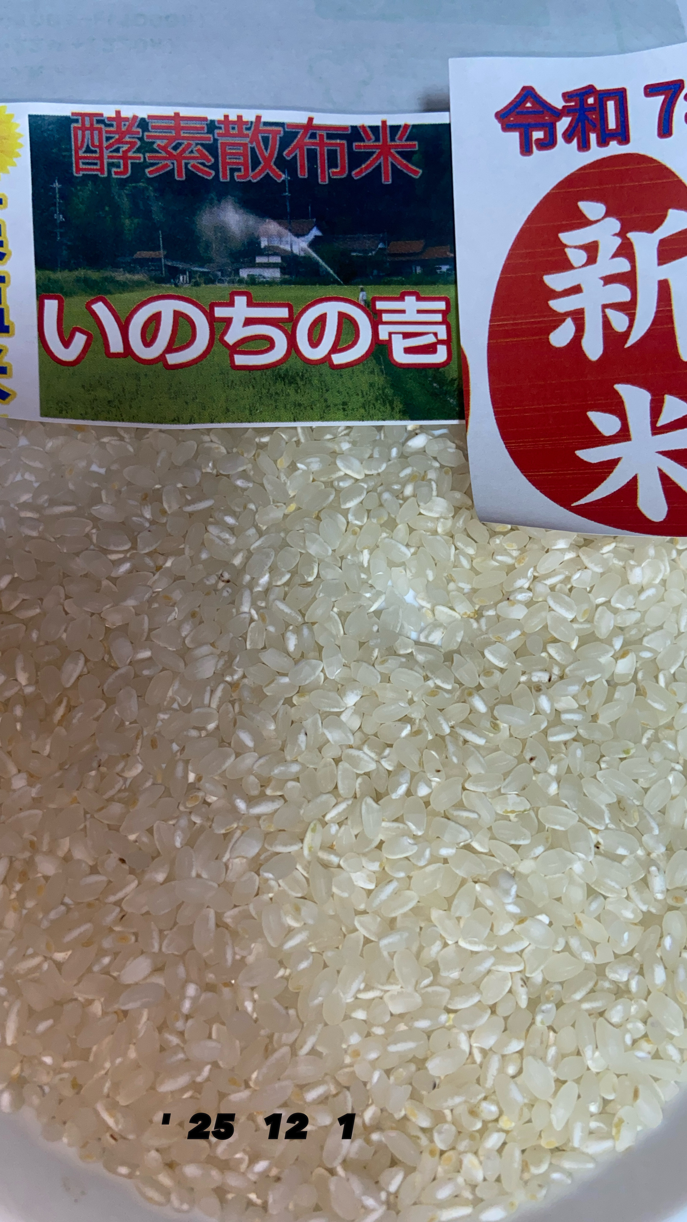 岐阜県産 令和6年産 いのちの壱 中米 訳あり　精米　白米　コシヒカリ残り3点 岐阜県産 令和6年産 いのちの壱 中米 訳あり 精米 白米 コシヒカリ残り3点