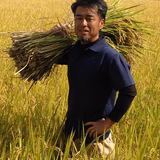 久保智和 | 自然力栽培 久保農家