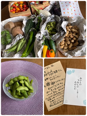 みんなの投稿の画像