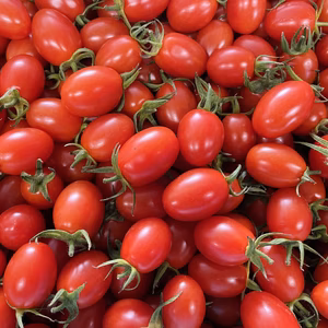 サザキ農園のアイコ！