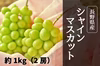【300円引き】シャインマスカット 家庭用・1kg（2房）／出店記念の特別価格！